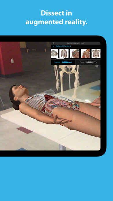 Human Anatomy Atlas 2023 iphone ekran görüntüleri