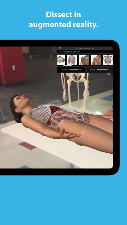 Human Anatomy Atlas 2024 screenshot-4