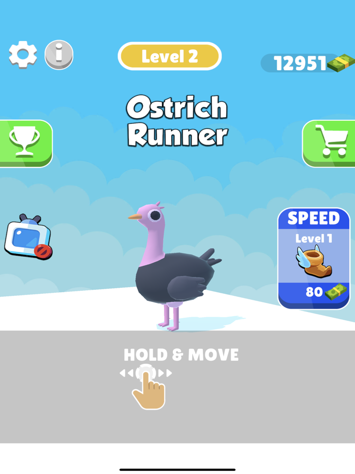 TheOstrichRunner