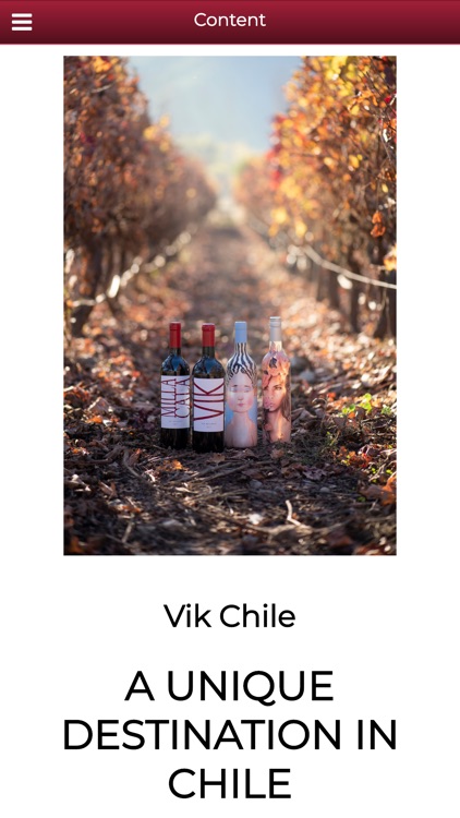 VIK Winery screenshot-4