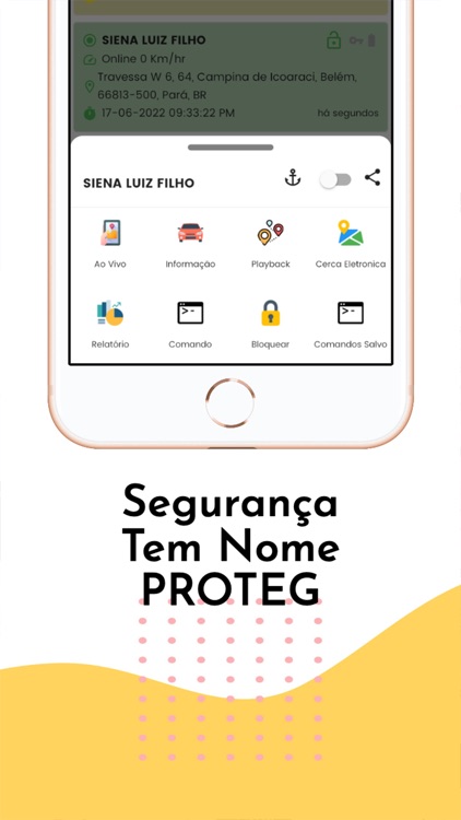 Proteg Rastreamento screenshot-3