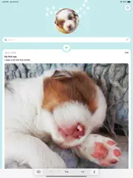 My Dog Diary - Photos ipad bilder 0