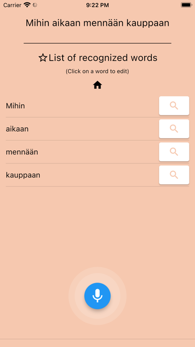 AI Finnish Dictionary Screenshot