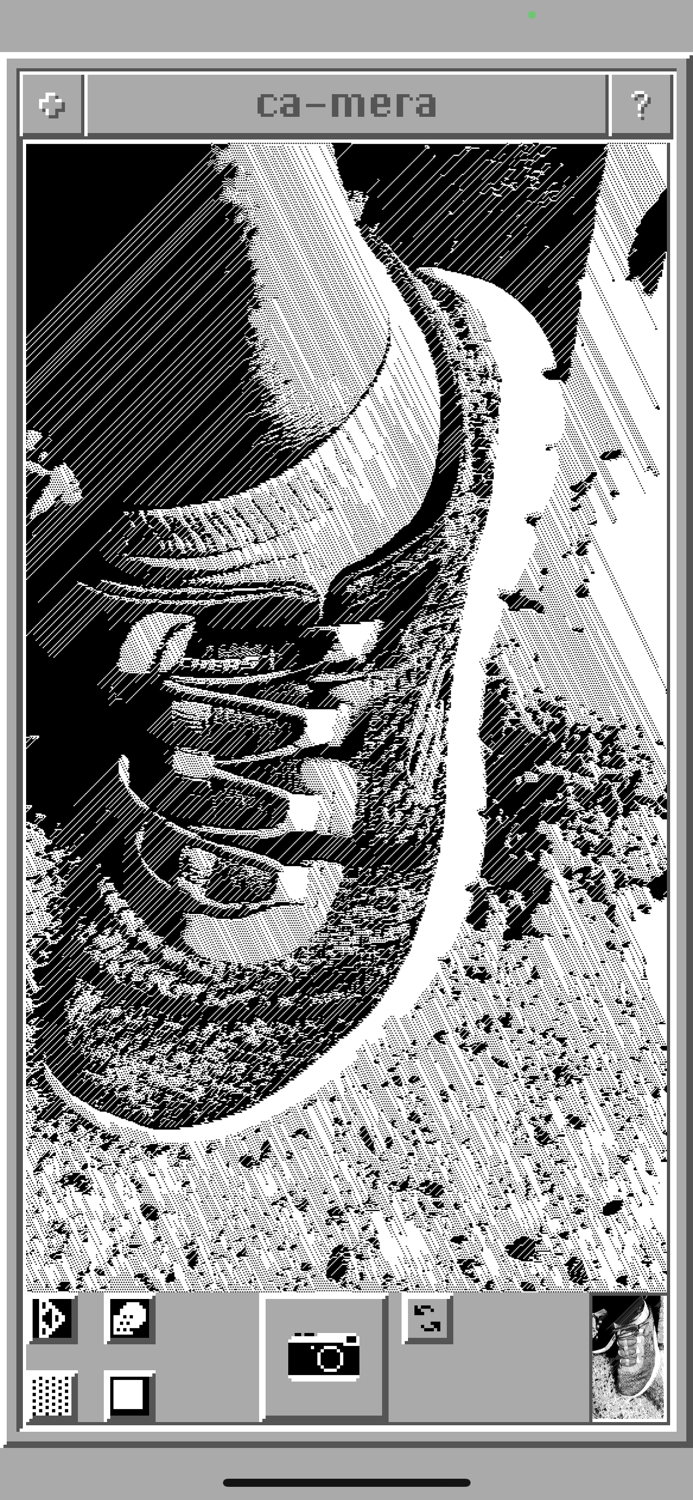 ca-mera