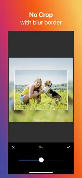 Game screenshot Collager - Photo Collage Maker apk