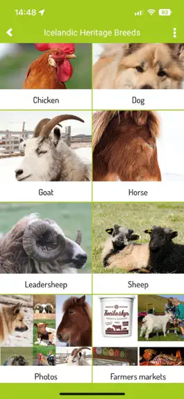 Game screenshot Icelandic Animal Breeds mod apk