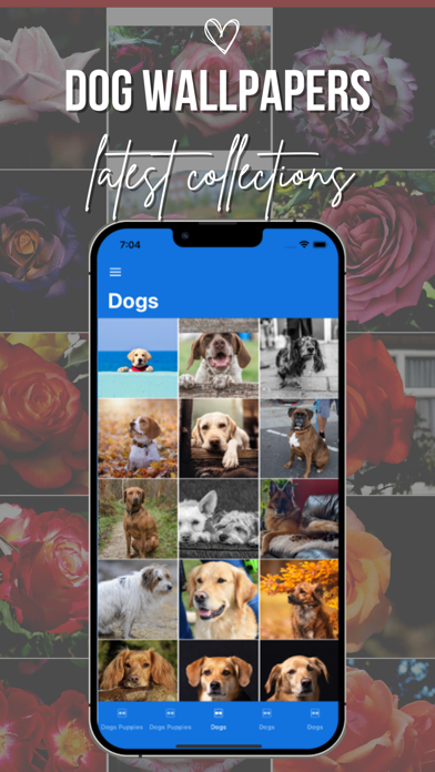 Dog Wallpapers HD Backgrounds Screenshot