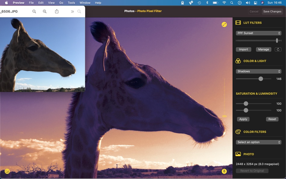 Photo Pixel Filter Extension - 1.1 - (macOS)