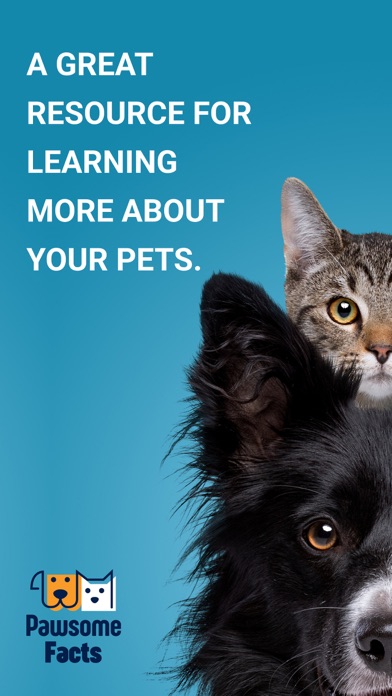 Pawsome Facts: Pet Insights Screenshot