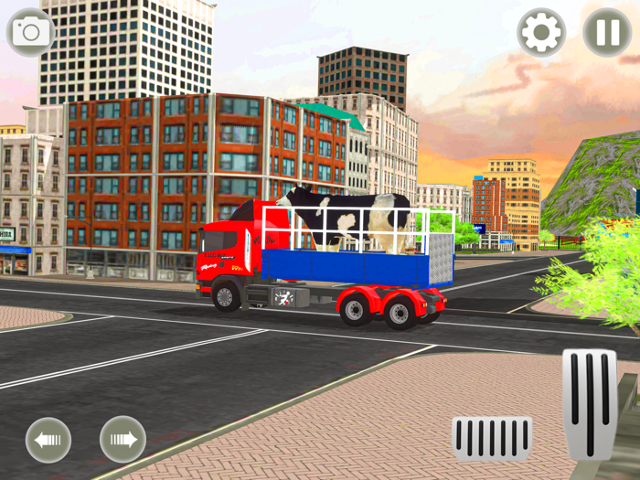 동물 레이싱 변형 게임