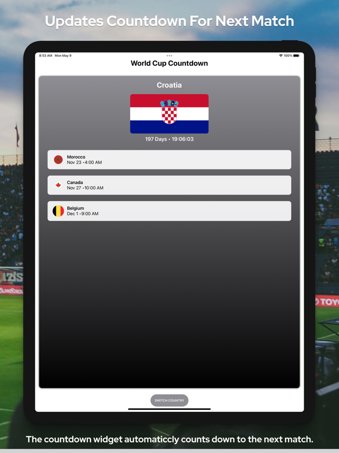 WorldCup Widget