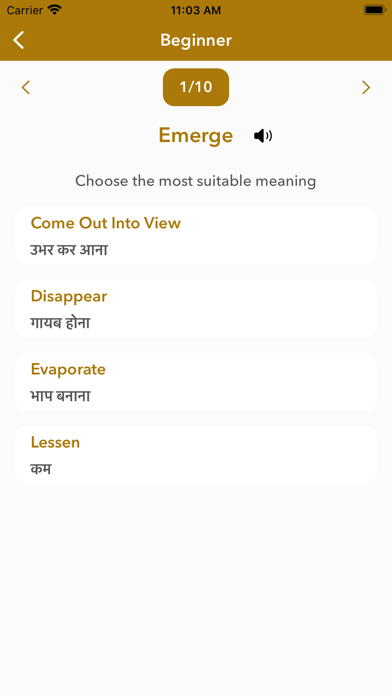 Hindi Dictionary : Word Games Screenshot