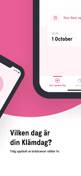 Game screenshot Klämdagen apk