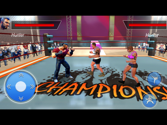 Multi Robot Fighting Games