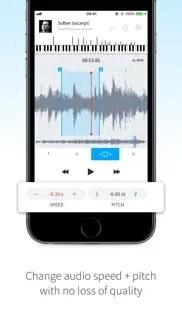 audiostretch iphone screenshot 4