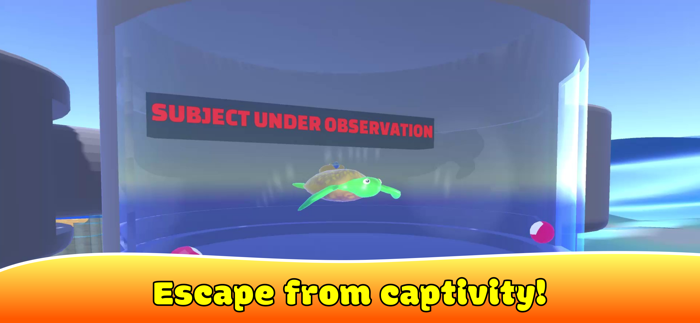 Super Star Rocket Go Fish