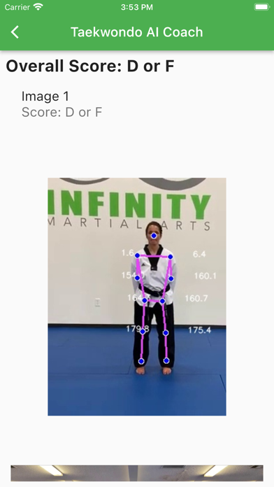 AI Taekwondo Coach Screenshot