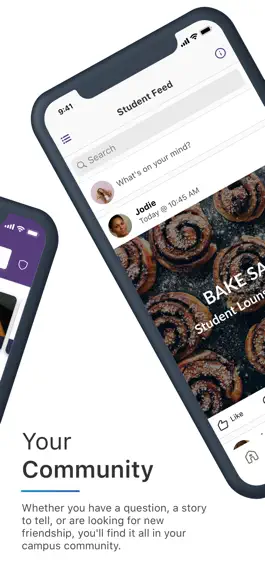 Game screenshot Bellevue University hack