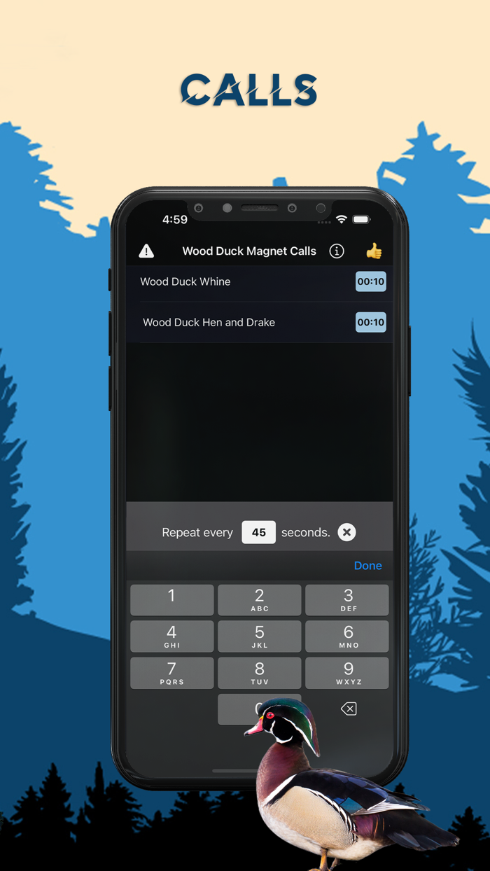 Wood Duck Magnet - Duck Calls