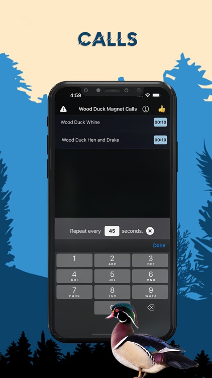 Wood Duck Magnet - Duck Calls