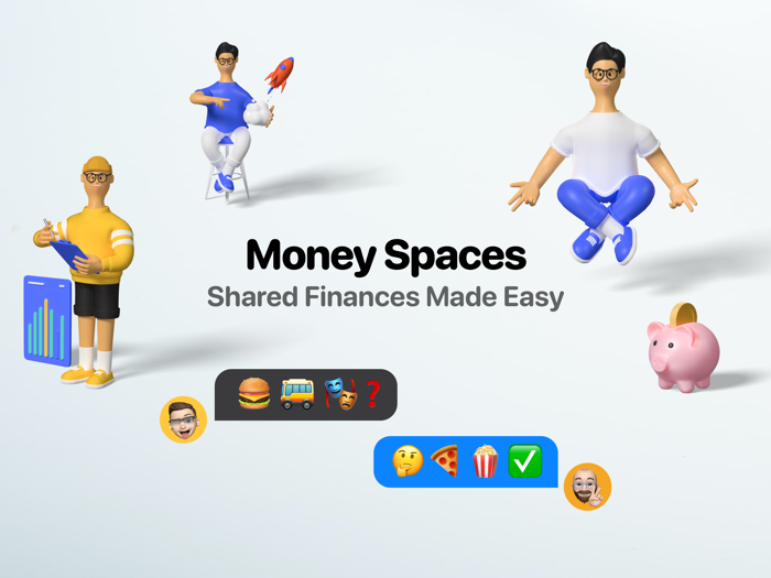 Money Spaces Family Budget
