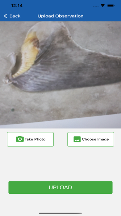 Fin Finder