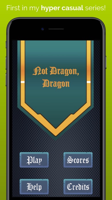 Not Dragon, Dragon Screenshot