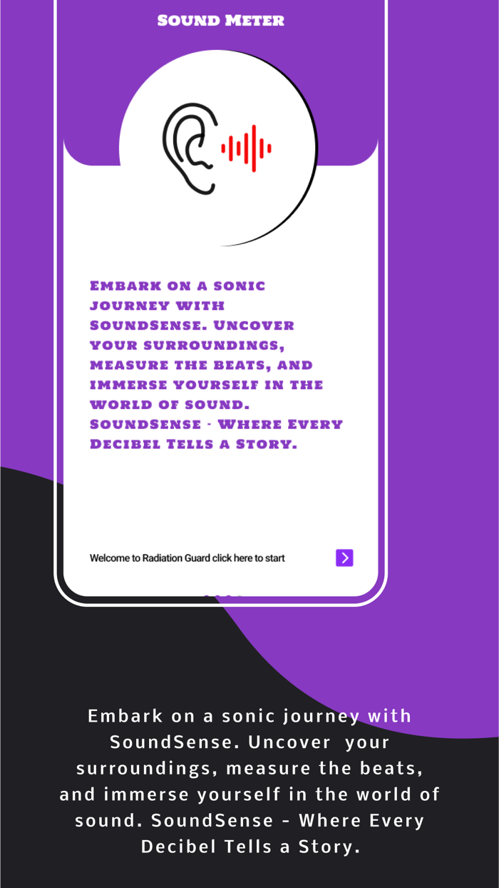 Metal Detector and Sound Meter