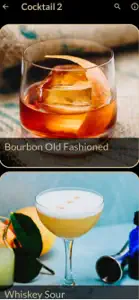 Cocktail Recipes Plus screenshot #9 for iPhone