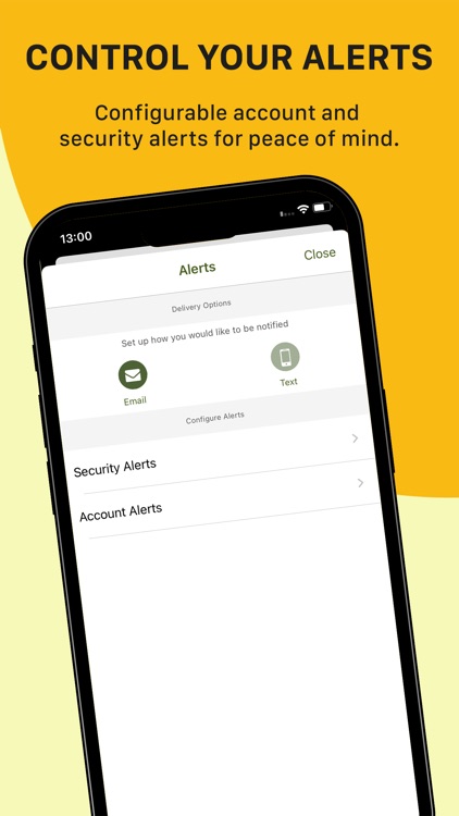 CCB Biz screenshot-7