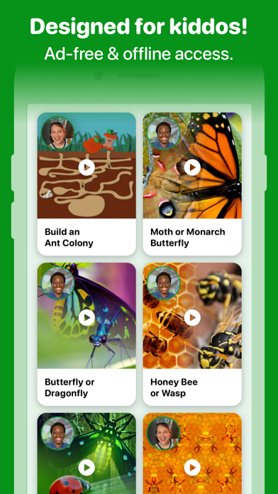 Fun Insects & Bugs for Kidsのおすすめ画像4