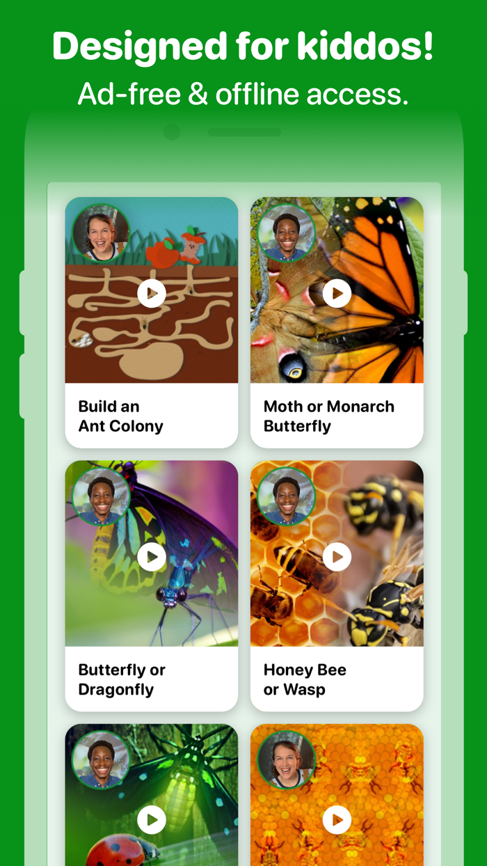 Fun Insects and Bugs for Kids