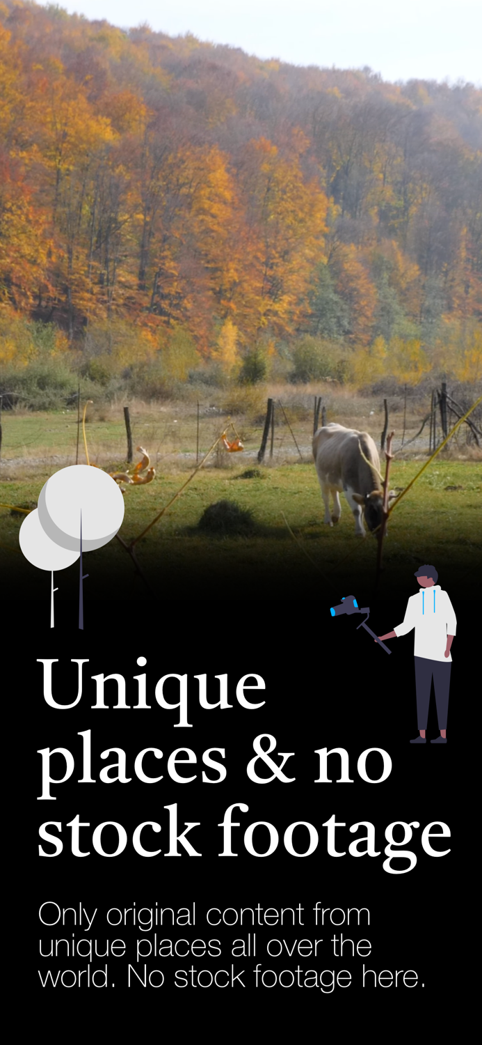 Calming Tiny Wanders