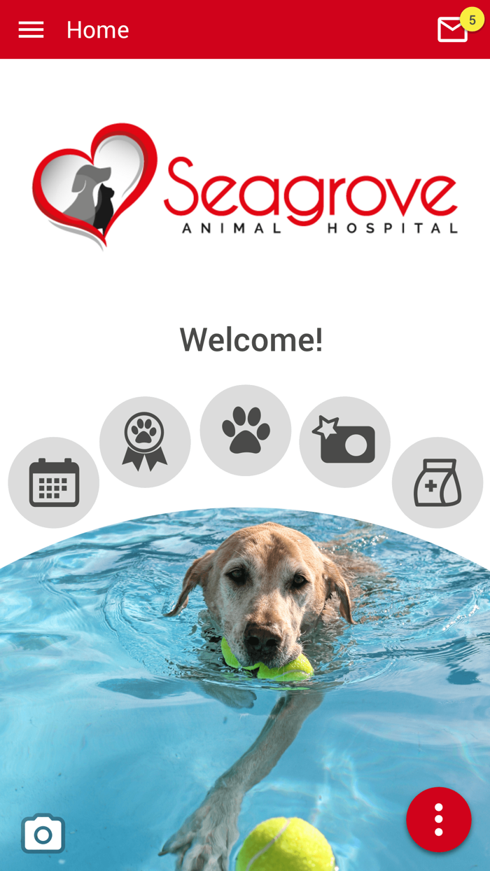 Seagrove Animal Hospital