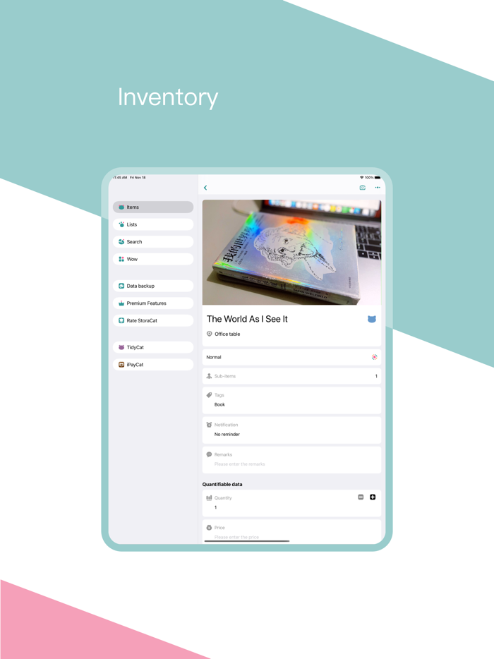 StoraCat Tidy Up and Schedule