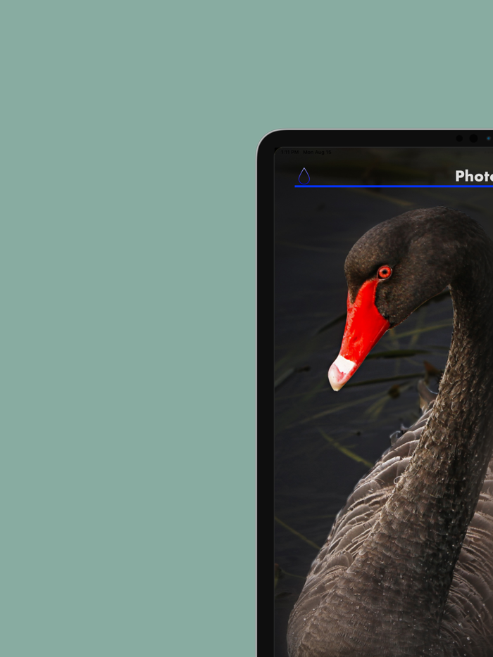 Blur Photo Effect Editor