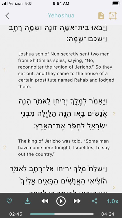 Tanach Yomi – Torah & Nach screenshot-5