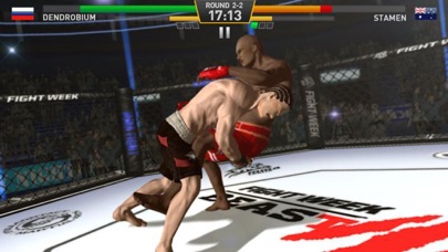 Boxing Star Fighting Screenshot