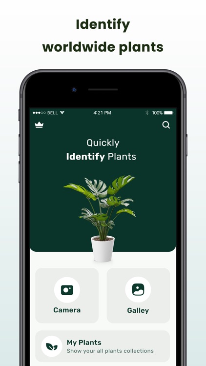 Nature ID-Plant Identification screenshot-3