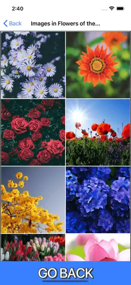 Game screenshot The Family App hack