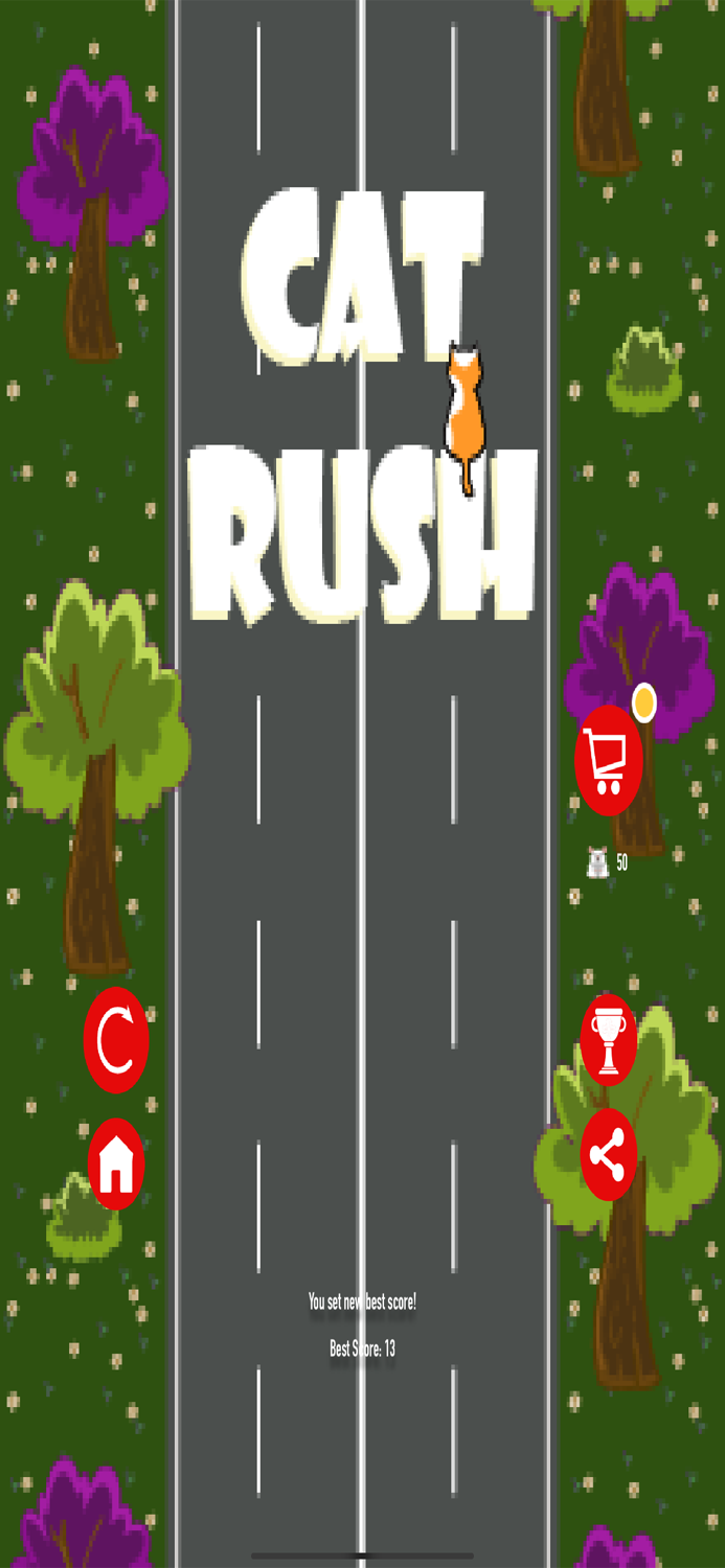 Cat Rush - Catch the Mouse