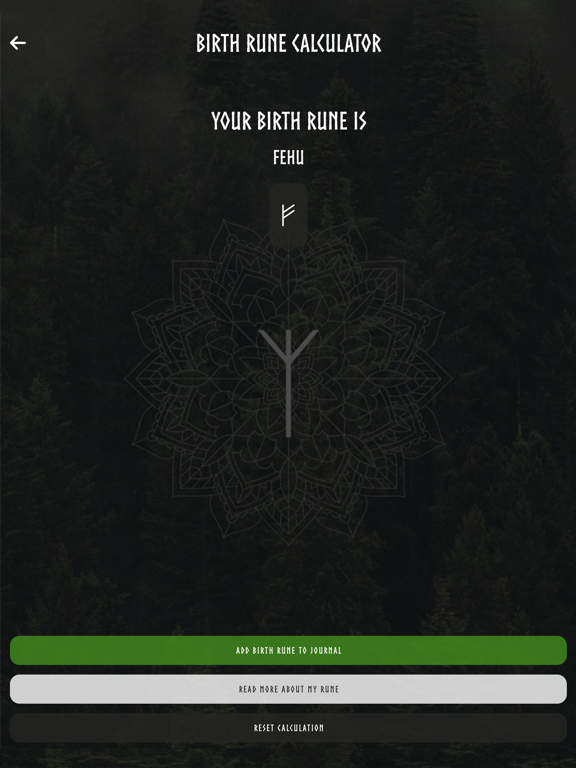 Way of The Runes: Norse Rune iPad screenshot 4 - Education app