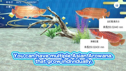My Asian arowana Aquarium Screenshot