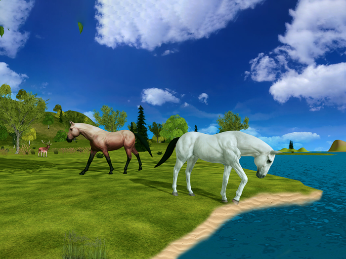 Horse Family Jungle Adventure