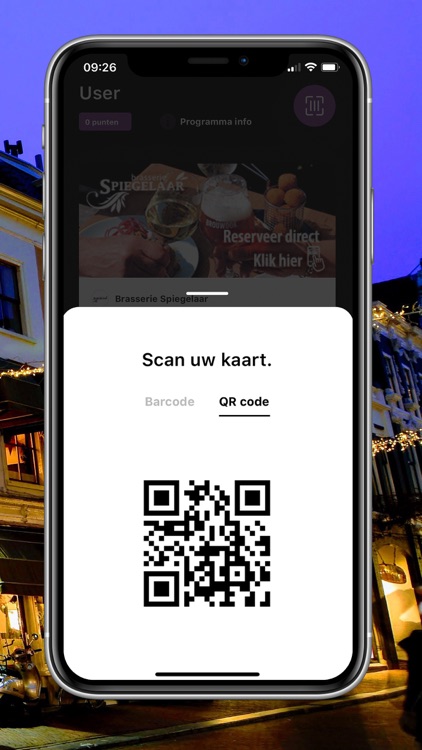 Spiegelaar screenshot-3