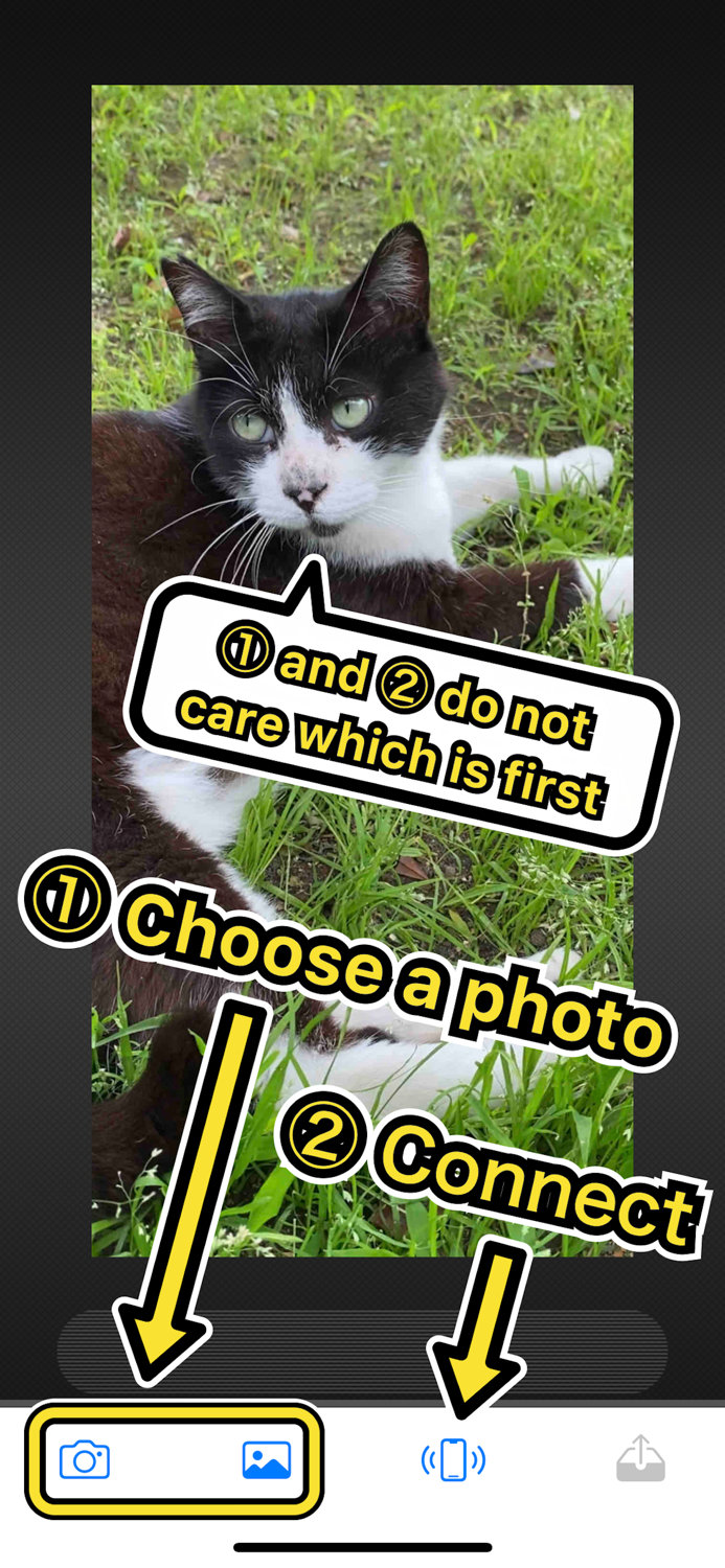 BlueTransLite - Easy sharing