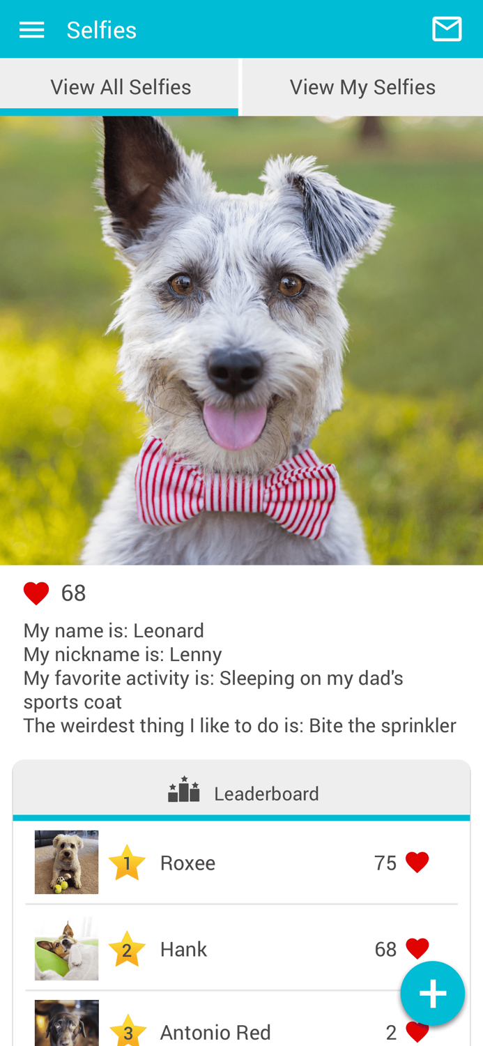 Caring Paws Animal Hospital