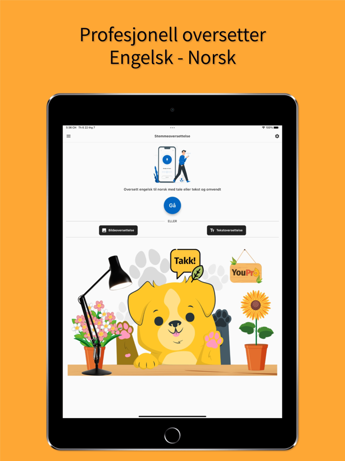 English Norwegian Translator