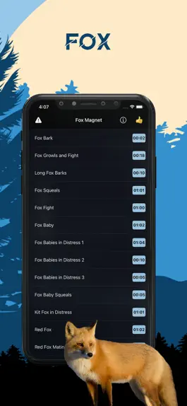 Game screenshot Fox Magnet - Fox Calls mod apk