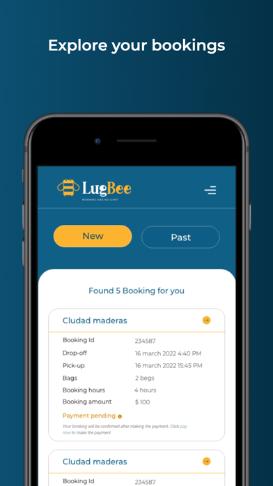 Lugbee Host Screenshot